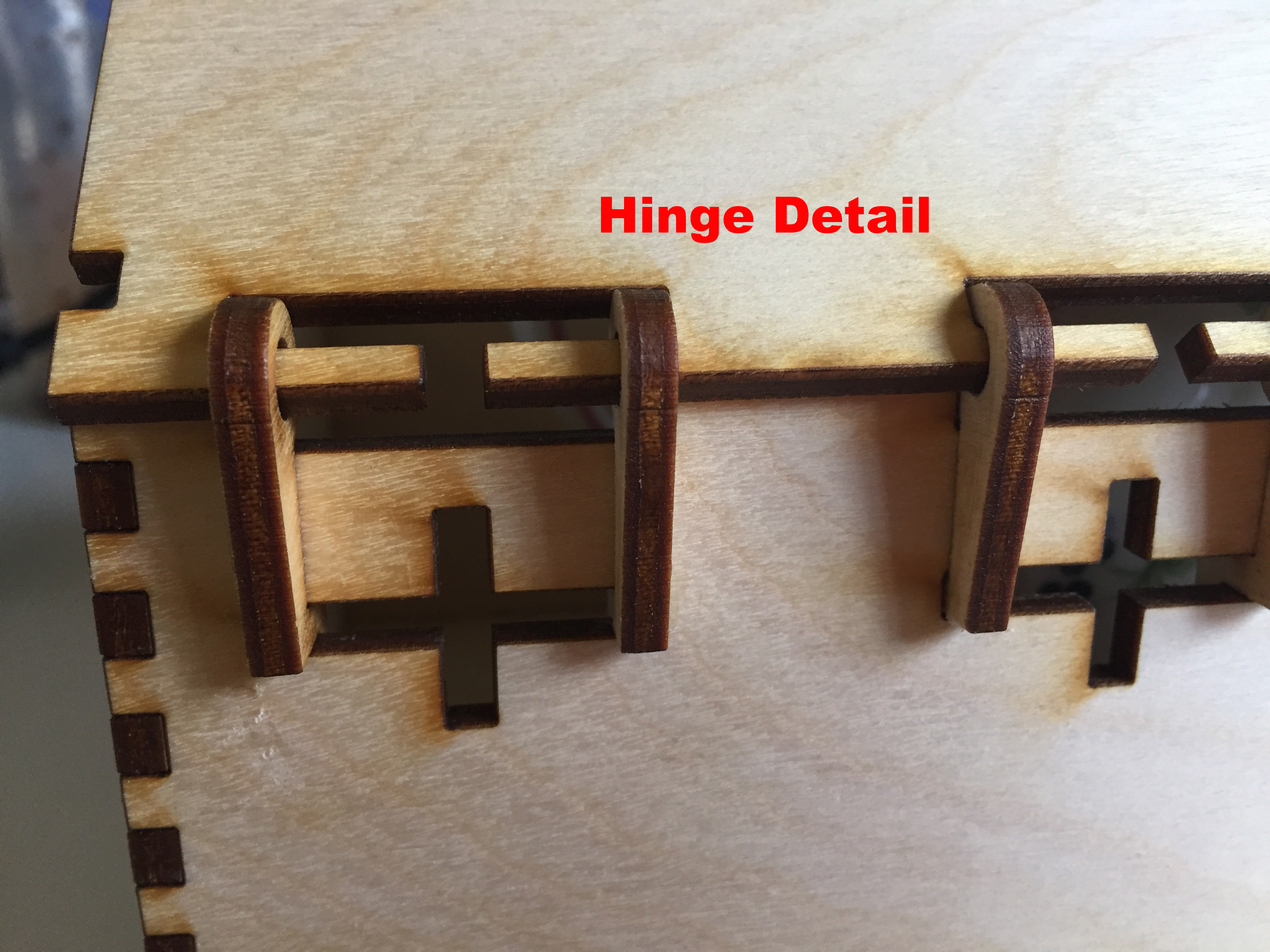 Hinge Detail.jpg