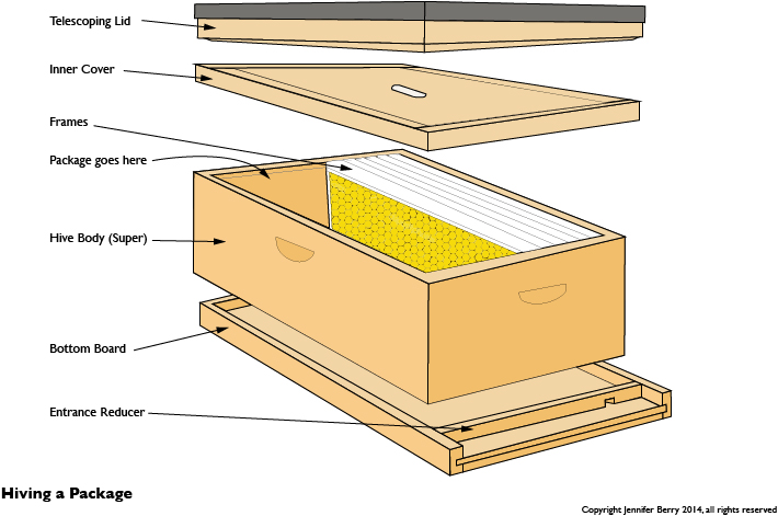 Hive components packaging.jpg