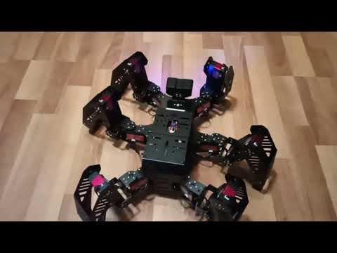 Hiwonder Spider Bot Cross Maze Function