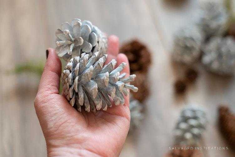 Holding-Bleached-Pinecones.jpg