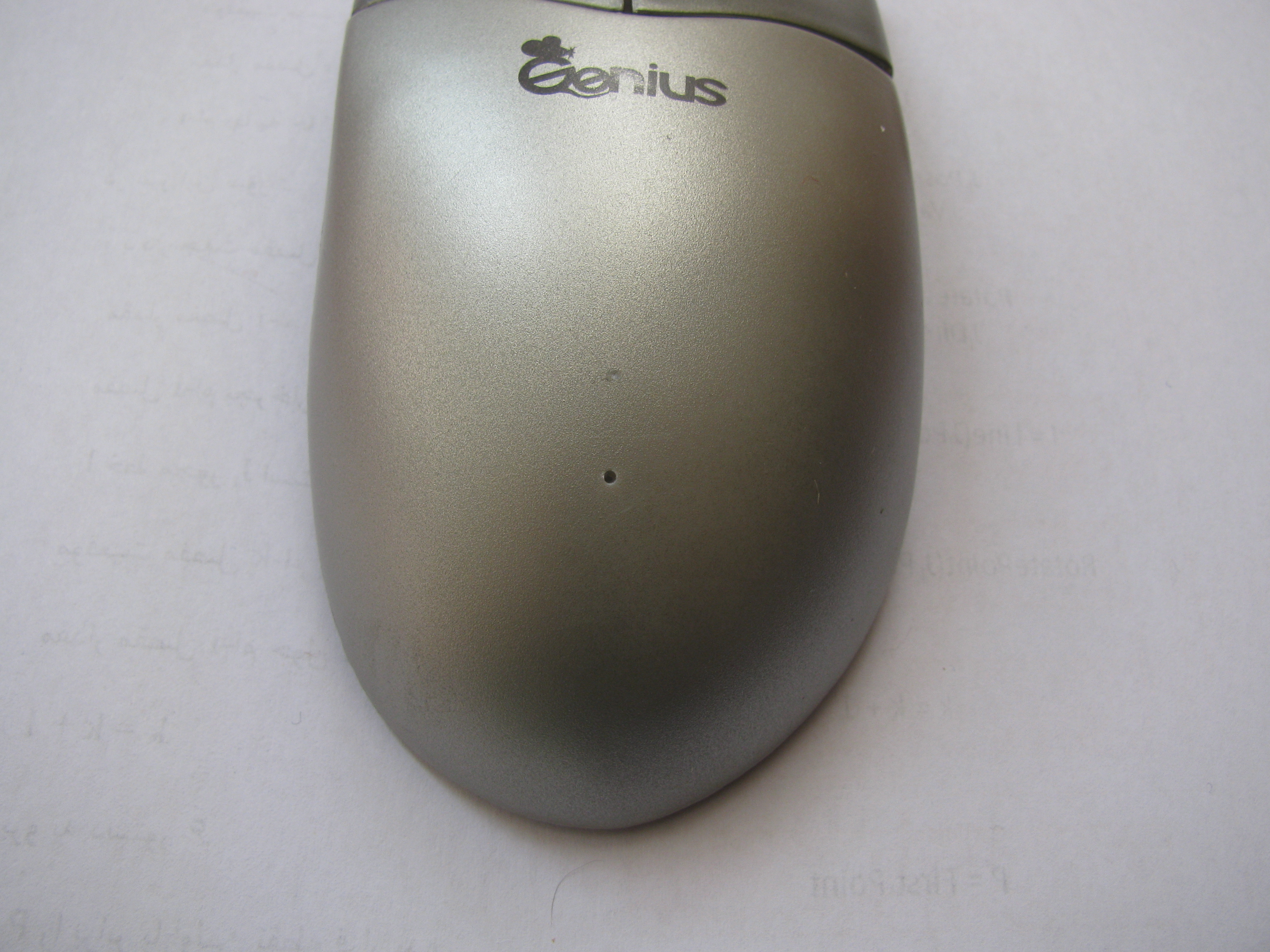 Hole on Mouse Back.JPG