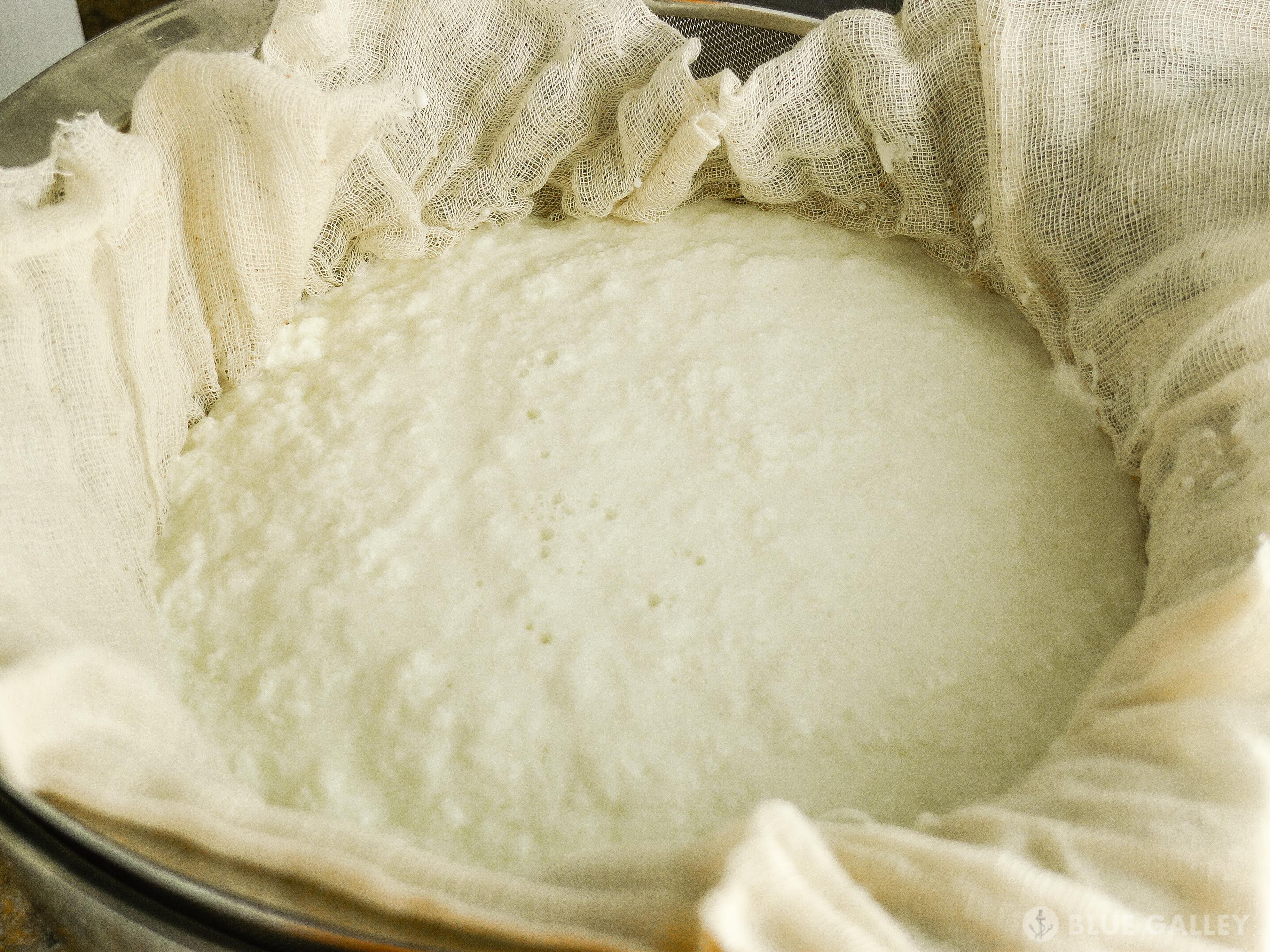 Homemade Meyer Lemon Ricotta-22.jpg