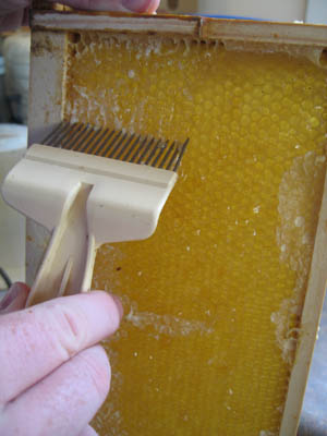 HoneyExtraction062.jpg