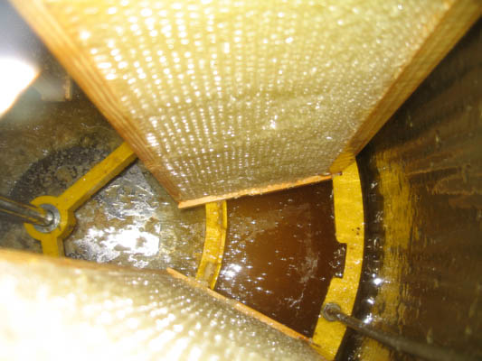 HoneyExtraction069.jpg