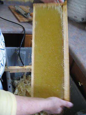 HoneyExtraction080.jpg