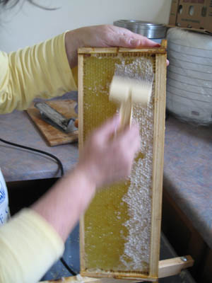 HoneyExtraction082.jpg