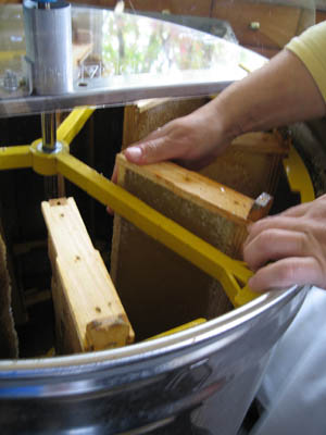 HoneyExtraction086.jpg