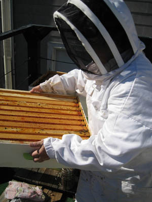 HoneyHarvest83.jpg