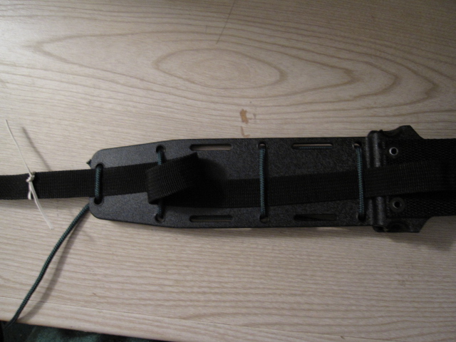 Hor Sheath Ins 026.JPG