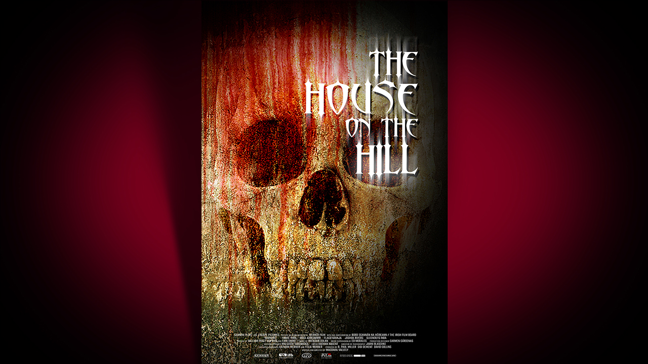 Horror Movie Poster CC 2015.jpg