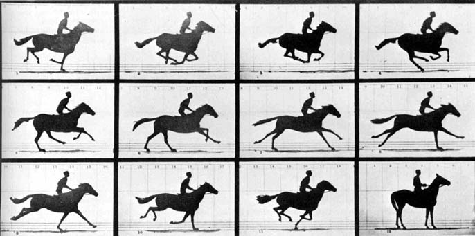 Horse animation strips.jpg