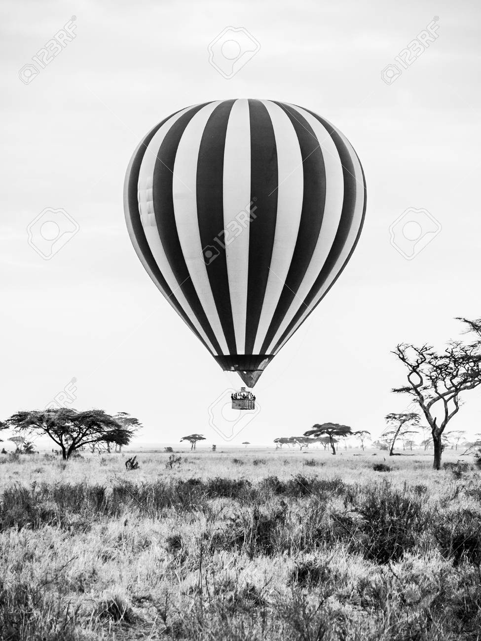 Hot Air Balloon.jpg