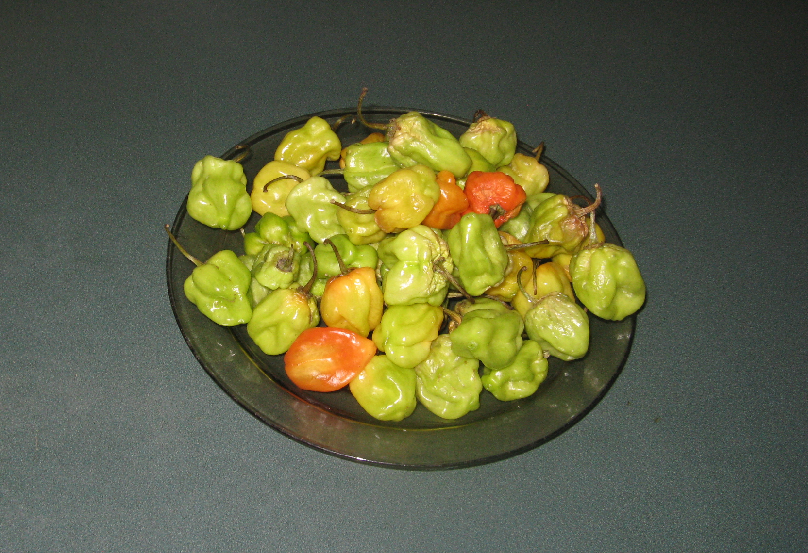 Hot Peppers 1.JPG