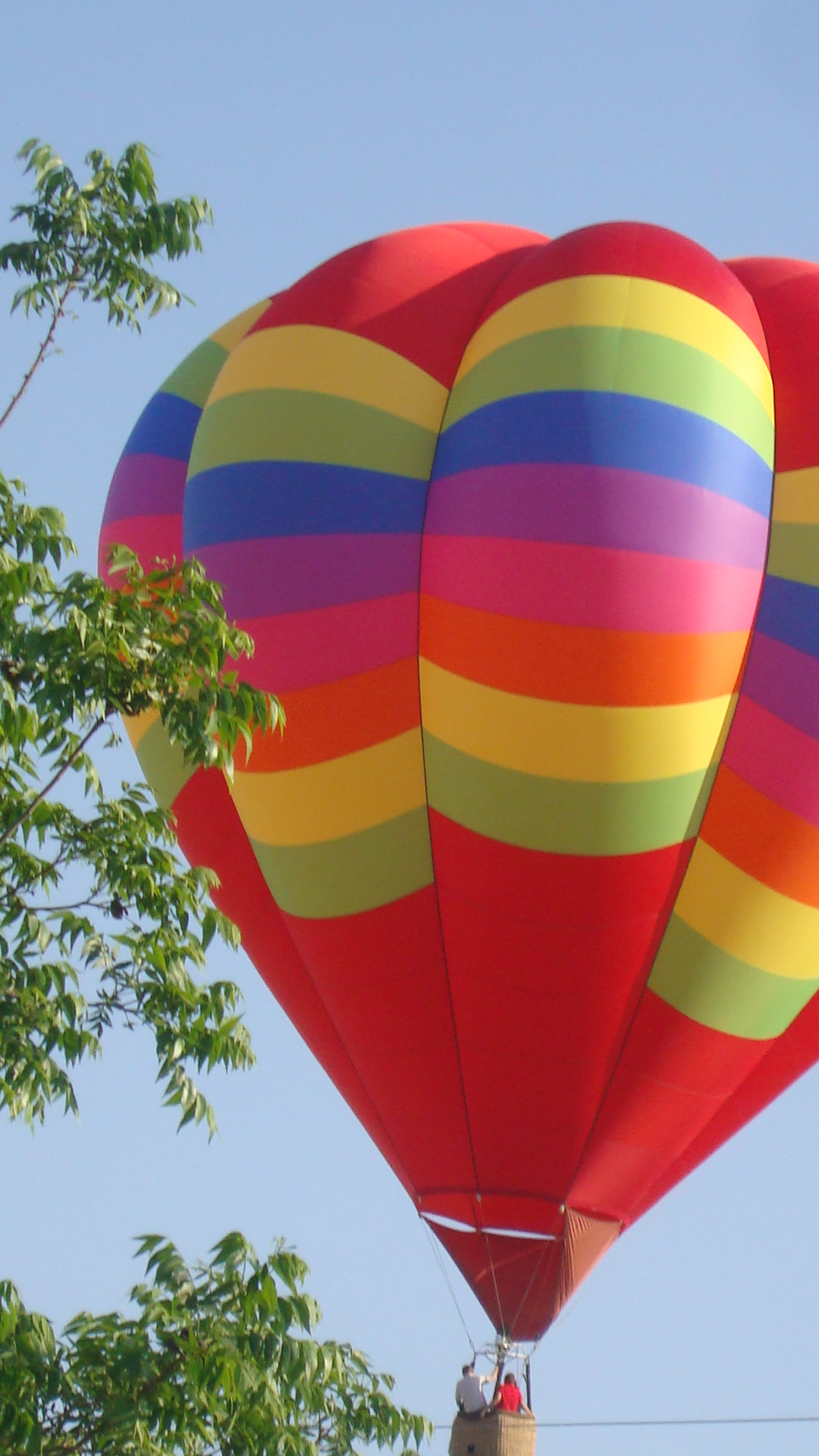 Hot air baloons 007.jpg