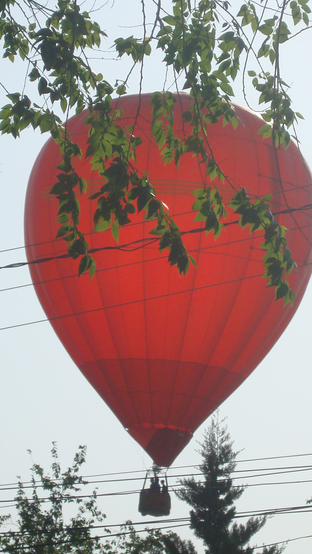 Hot air baloons 014.jpg