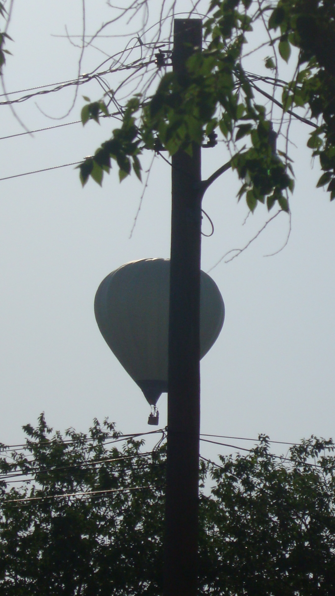 Hot air baloons 015.jpg