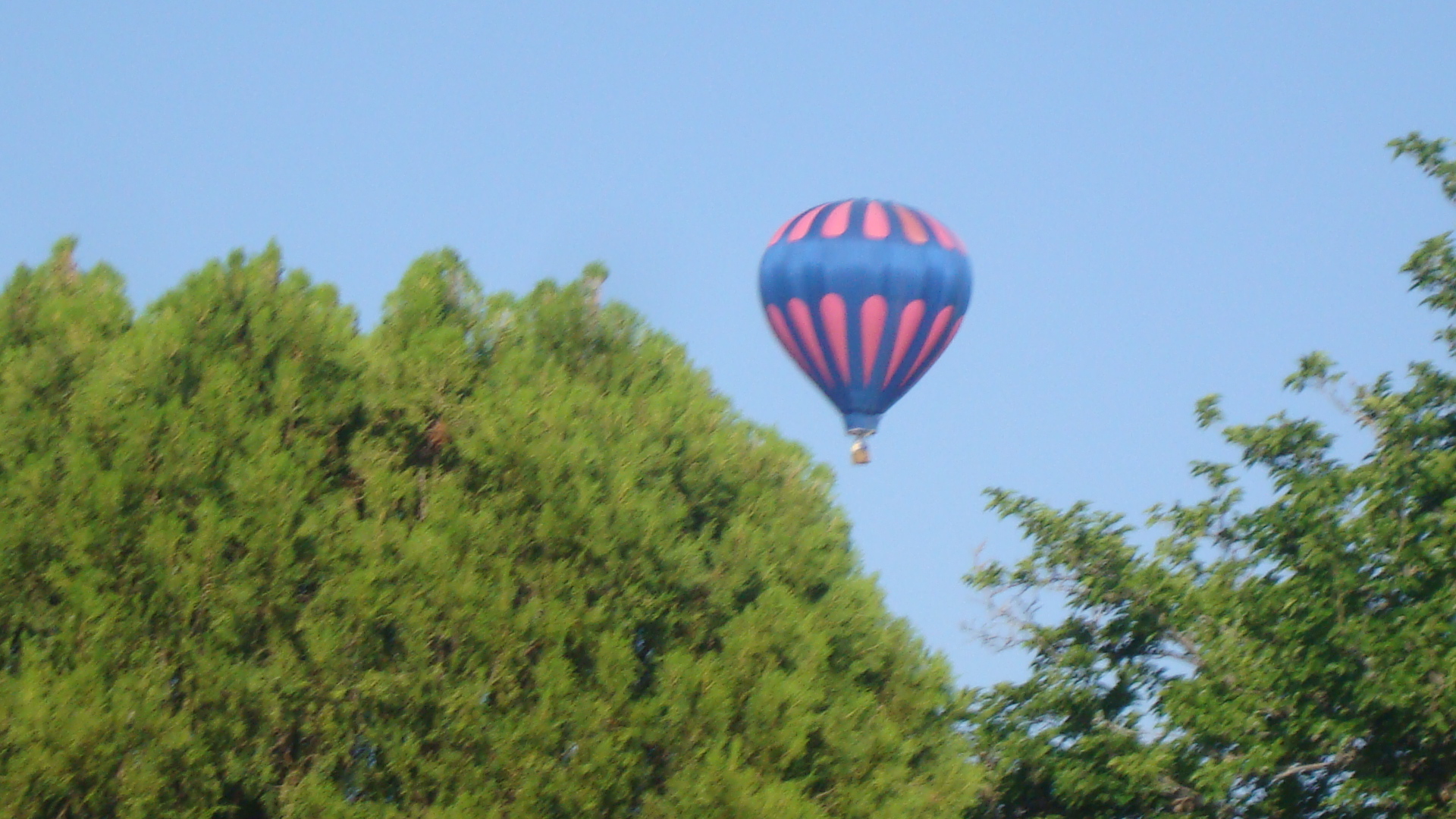 Hot air baloons 032.jpg