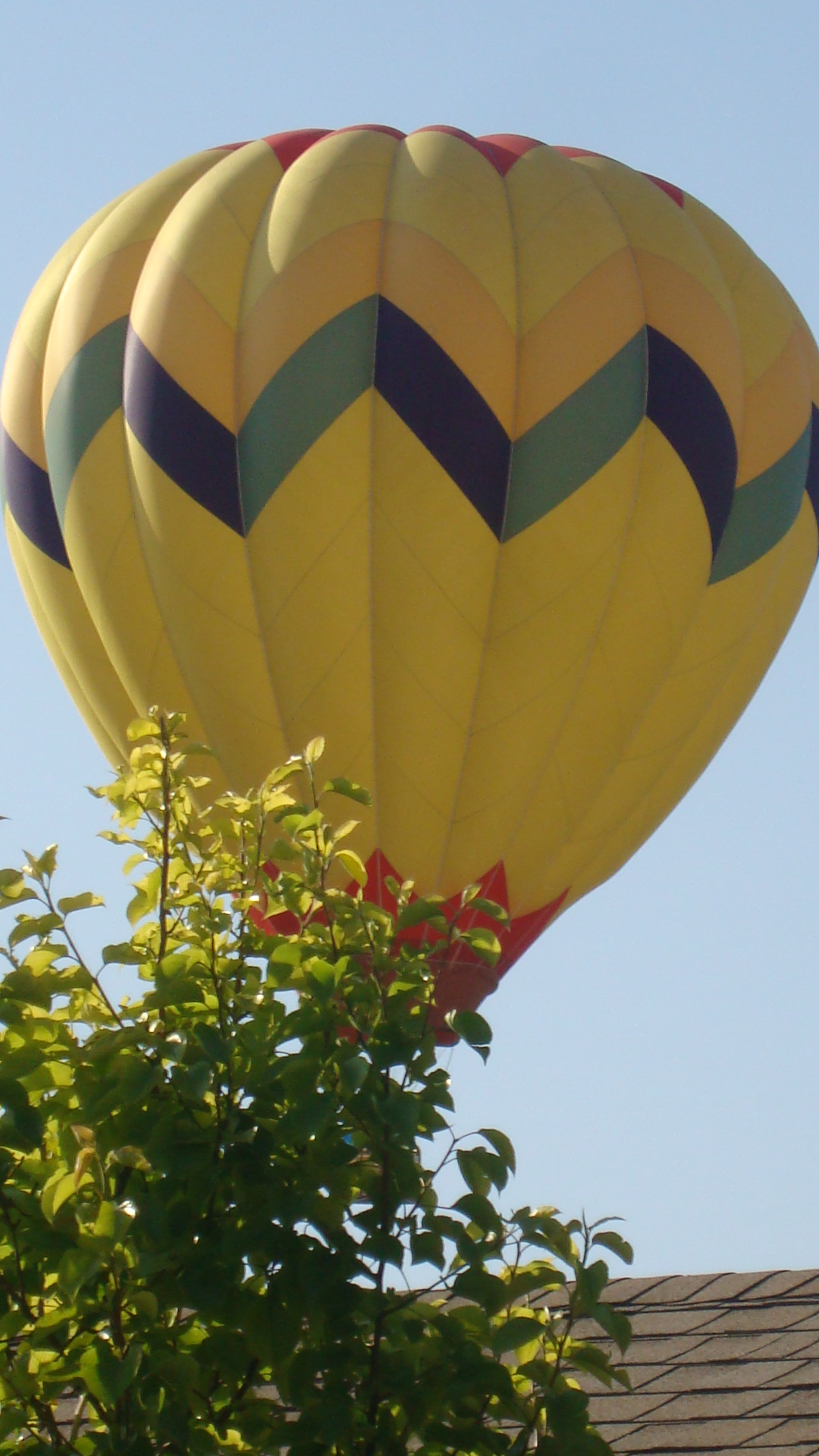 Hot air baloons 041.jpg