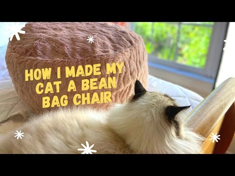 How I Made My Cat a DIY Bean Bag Chair | DIY Pet Pillow