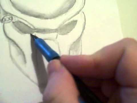 How To Draw A Predator Mask Step 2