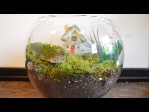 How To Make A Fairy Moss Garden