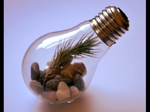 How To Make A Light Bulb Terrarium