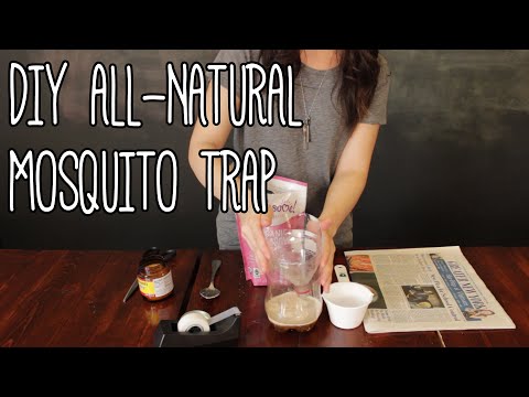 How To Make A Mosquito Trap From Yeast and Brown Sugar