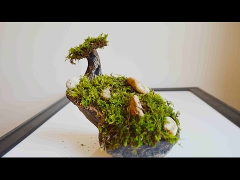 How To Make A Moss Tree &amp;amp; Garden With Polymer Clay