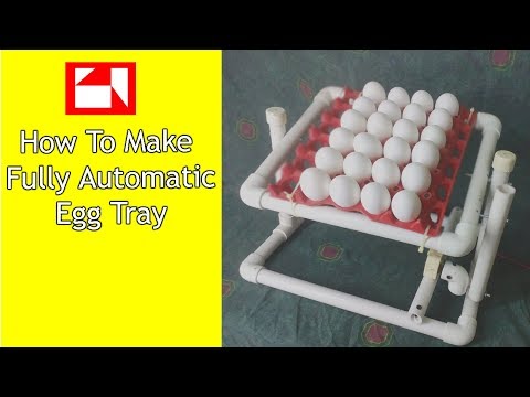 How To Make Fully Automatic Incubator Hatcher Egg Tray