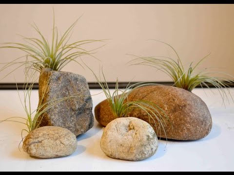 How To Make Stone Air Plant Holders With Polymer Clay