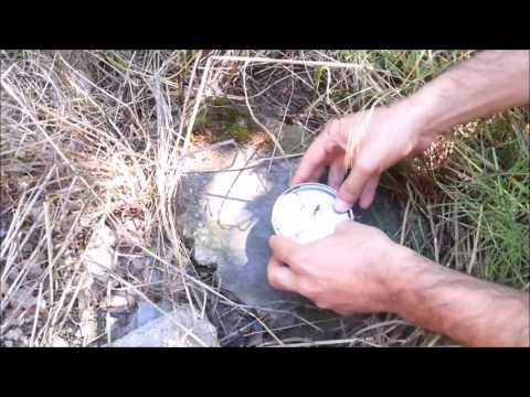 How To Open a Can Without Can Opener - Survival &amp;amp; Camping Tip