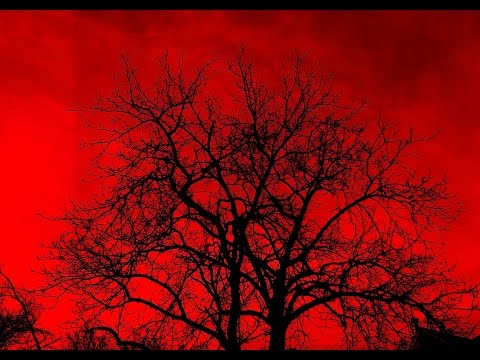 How To Turn The Sky Red In A Photograph