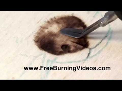 How to Burn a Dog or Wolf Nose