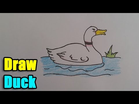 How to Draw Duck for Kids