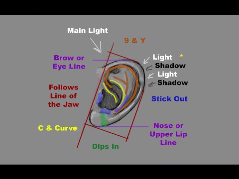 How to Draw Ears - Part 1 - Structure