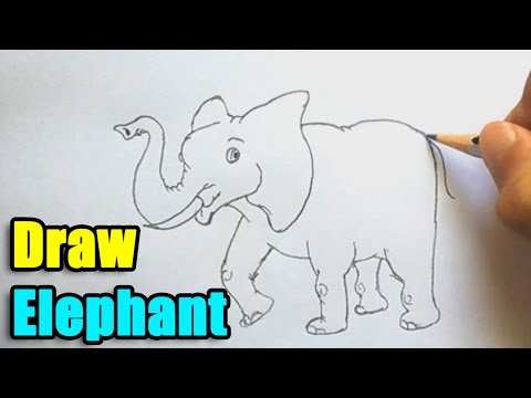 How to Draw Elephant