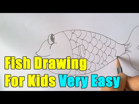 How to Draw Fish step by step easy