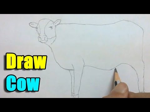 How to Draw a Cow - Very Easy