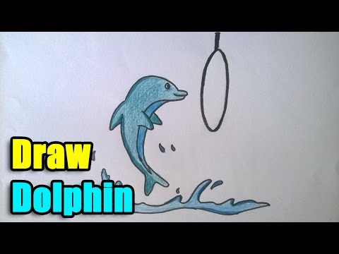 How to Draw a Dolphin