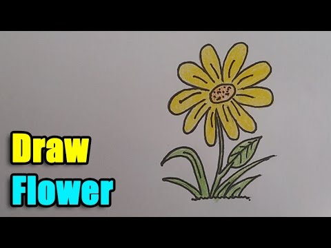 How to Draw a Flower - Step by Step and super easy