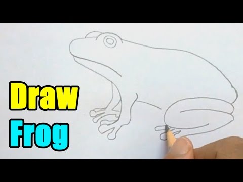 How to Draw a Frog - Very Easy