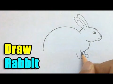 How to Draw a Rabbit