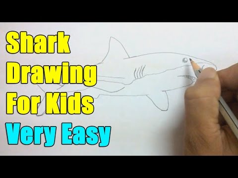 How to Draw a Shark