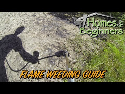 How to Flame Weed - The Beginner's Guide