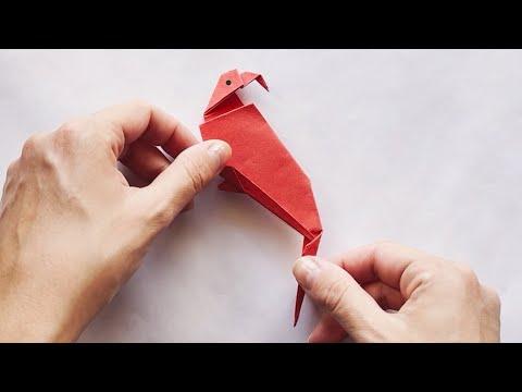 How to Fold an Origami Parrot with Vibrant Plumage