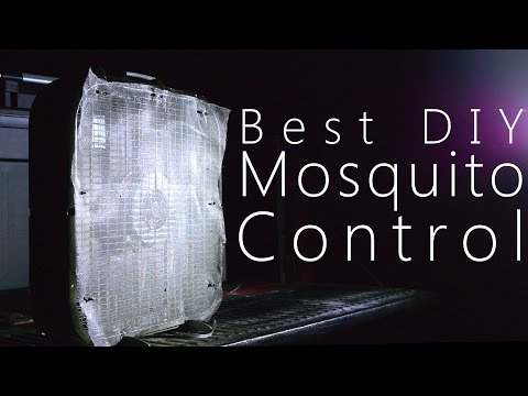 How to Make The Best Mosquito Trap - Kill Thousands Every Night