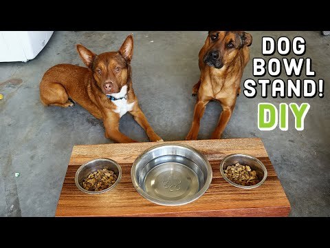 How to Make a Dog Food Bowl Stand | DIY