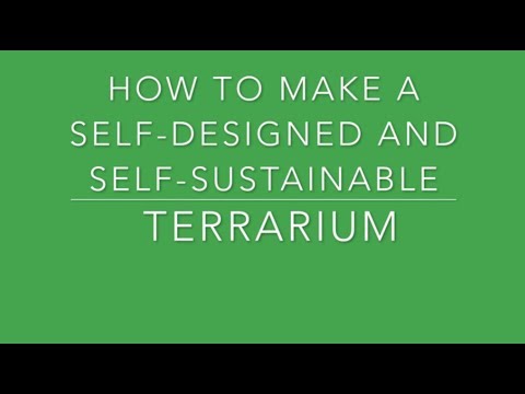 How to Make a Self-Designed, Self-Sustainable Terrarium [CC]