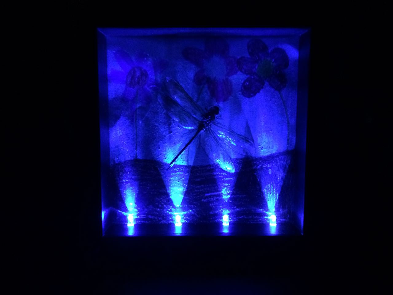 How to Repurpose AntWorks LED's in Shadow Box-Finished Product.jpg