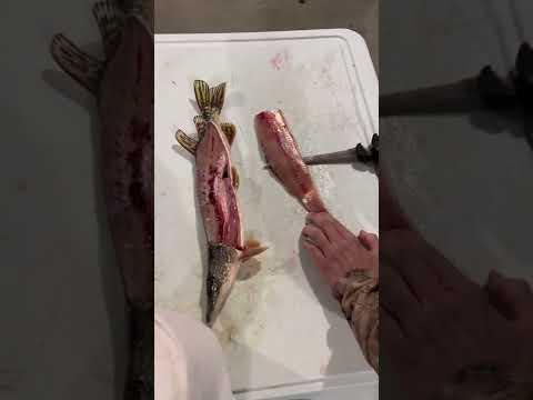 How to clean a fish